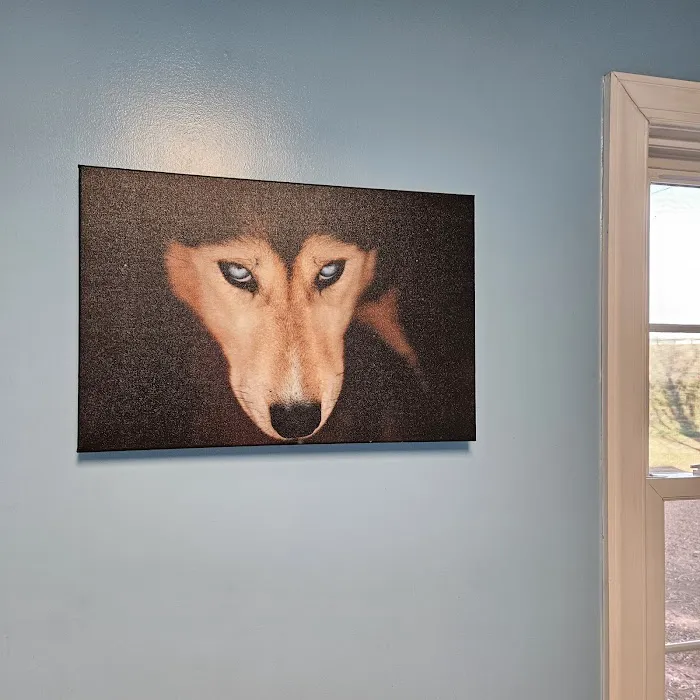 Quad-Cities Animal Hospital 12