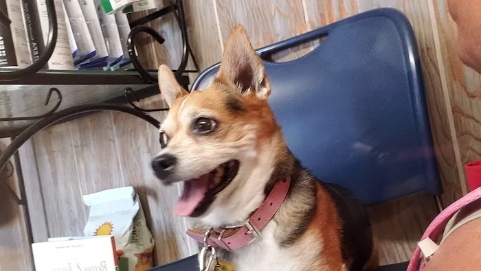 Westgate Veterinary Hospital 12