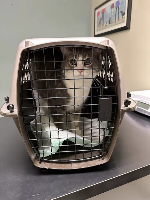 Pike Veterinary Services 1