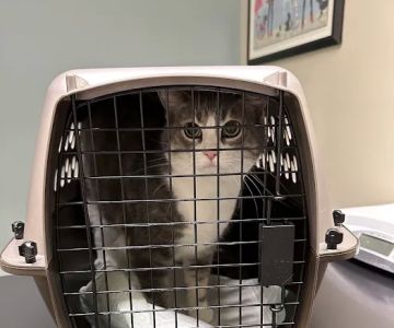 Pike Veterinary Services