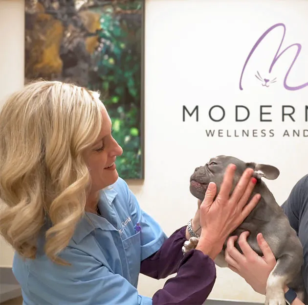 Modern Vet 7