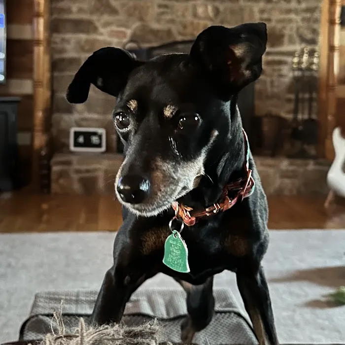 Midway Veterinary Hospital 3