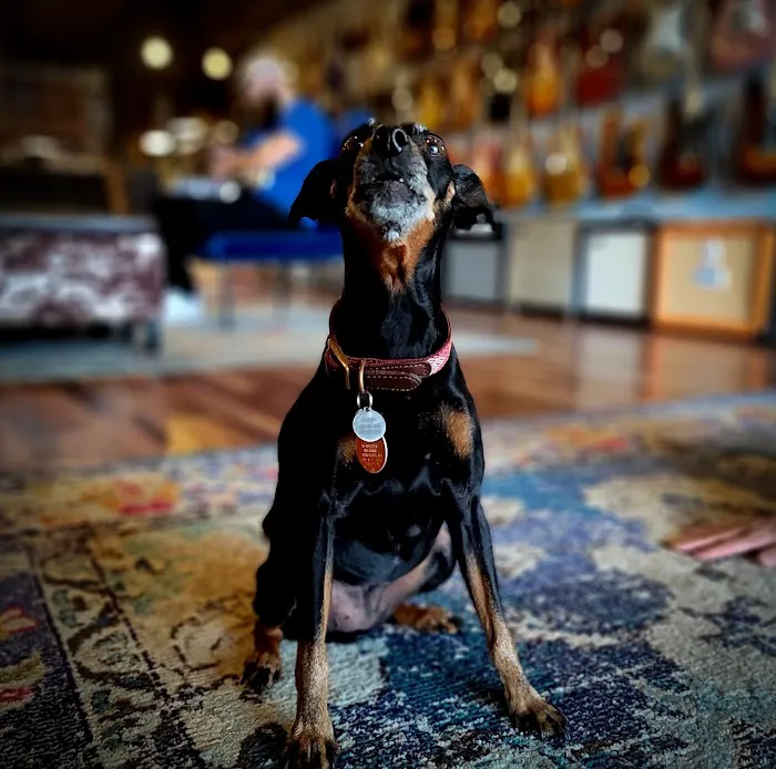 Midway Veterinary Hospital 4
