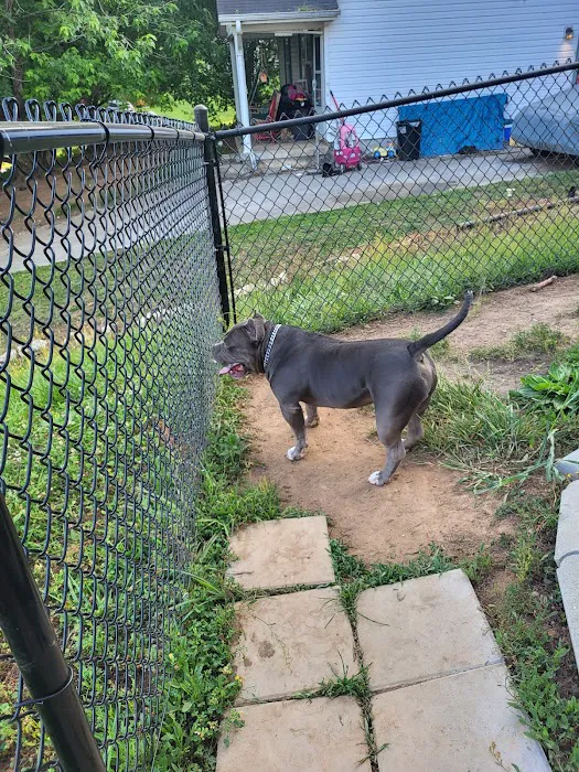 Midway Veterinary Hospital 9