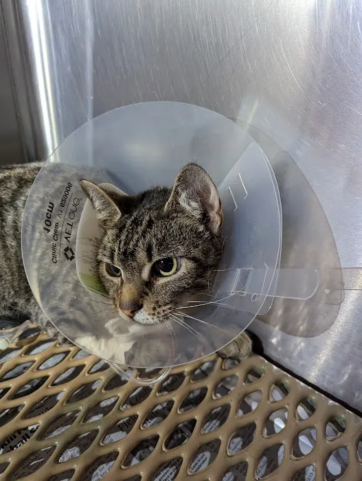 Cumberland Animal Hospital 12