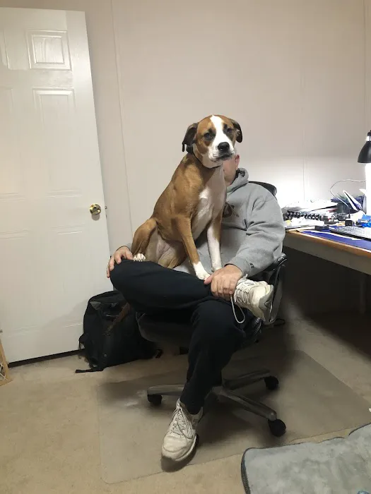 Cumberland Animal Hospital 12