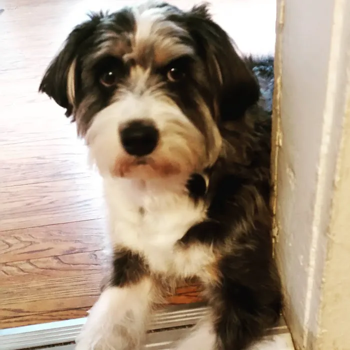 Cumberland Animal Hospital 12