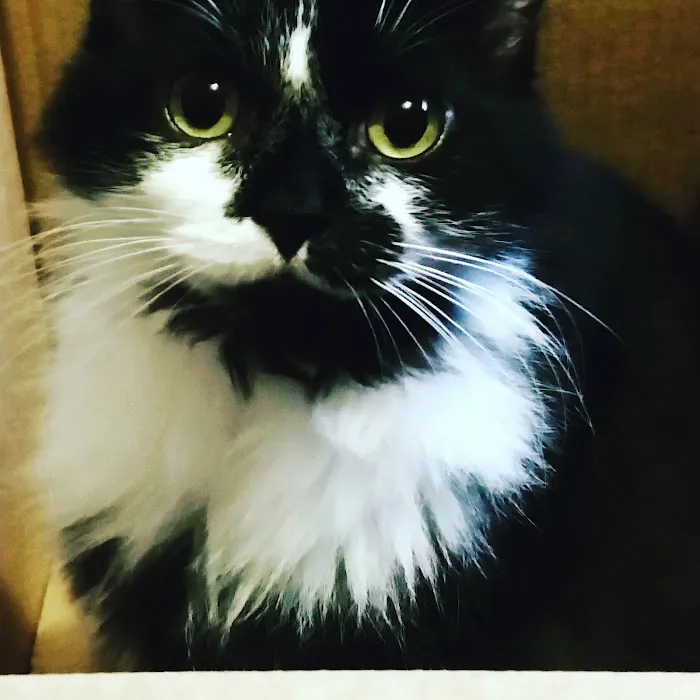 Cumberland Animal Hospital 12