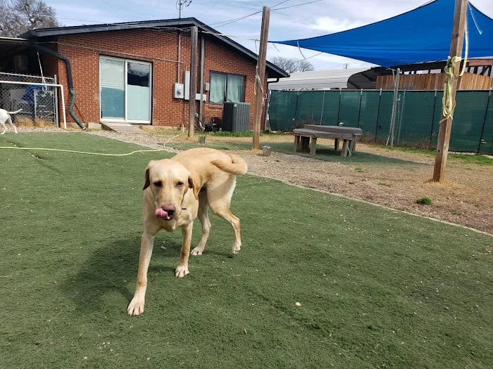 Travis Country Veterinary Hospital 4
