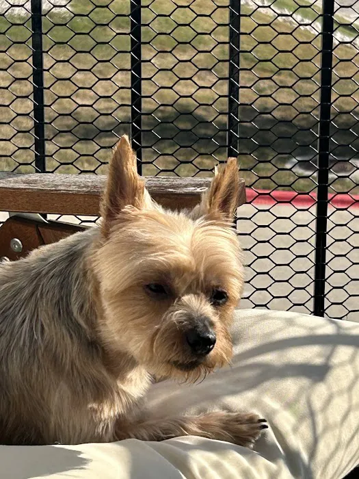 Travis Country Veterinary Hospital 6