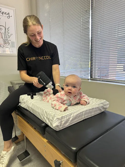 Austin Animal Chiropractic 4