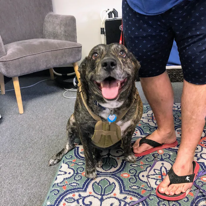 Austin Animal Chiropractic 7