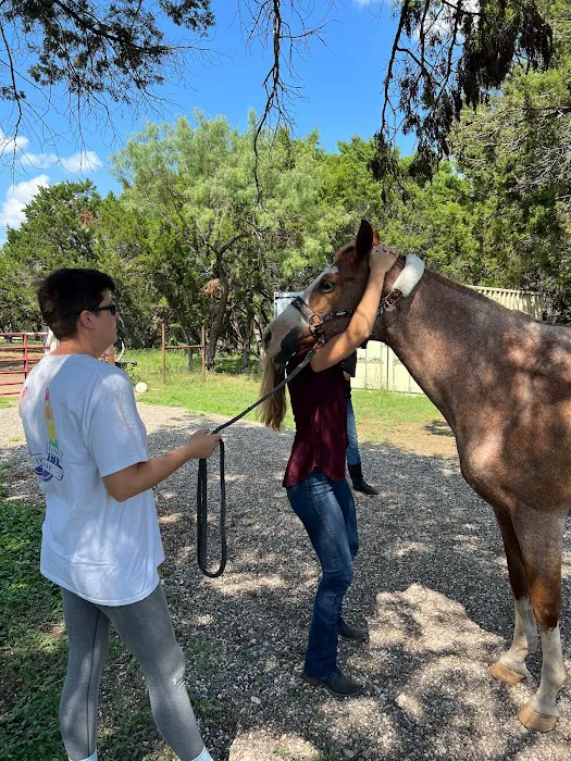 Austin Animal Chiropractic 5