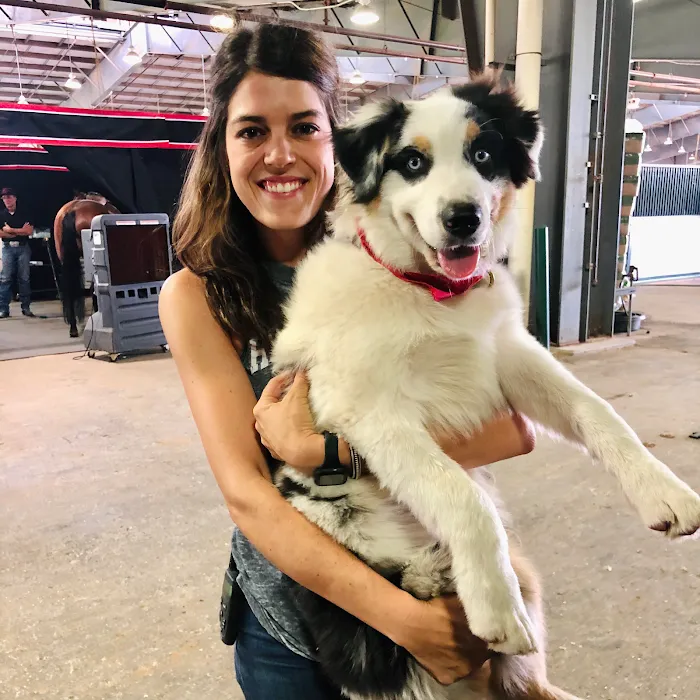 Austin Animal Chiropractic 10