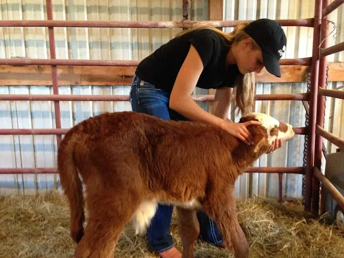 Austin Animal Chiropractic 3