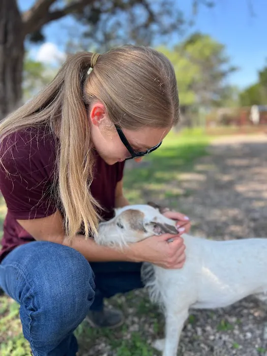 Austin Animal Chiropractic 2