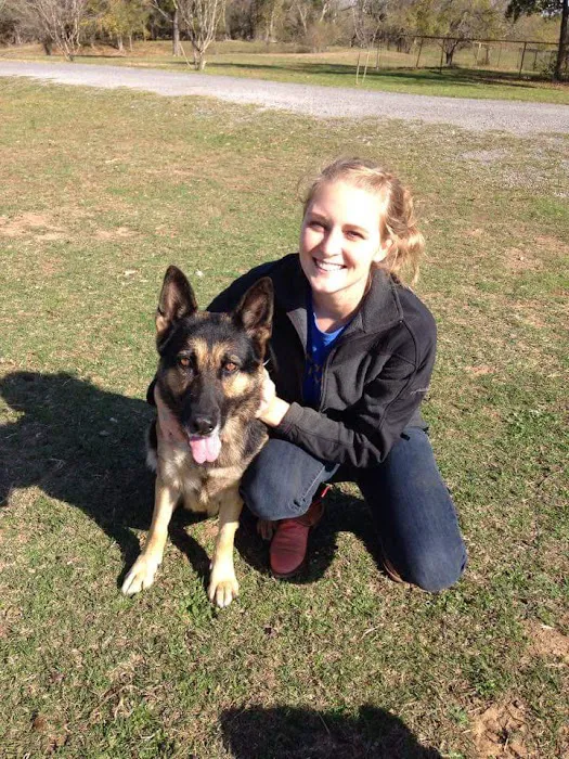 Austin Animal Chiropractic 1