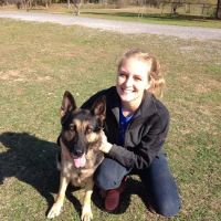 Austin Animal Chiropractic ico