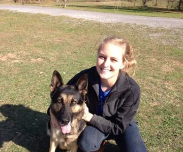 Austin Animal Chiropractic