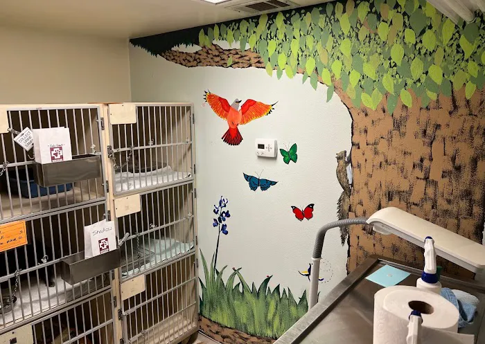 Brodie Animal Hospital 8