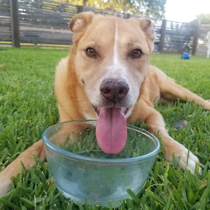 Vetco Total Care Animal Hospital 6