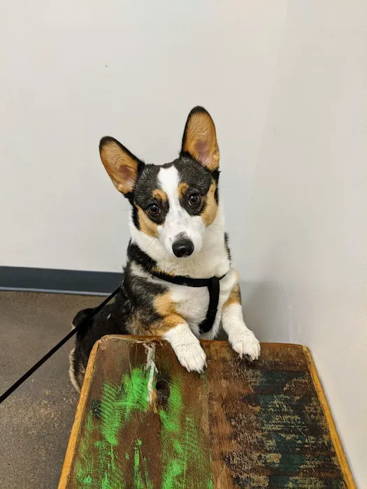 Vetco Total Care Animal Hospital 5