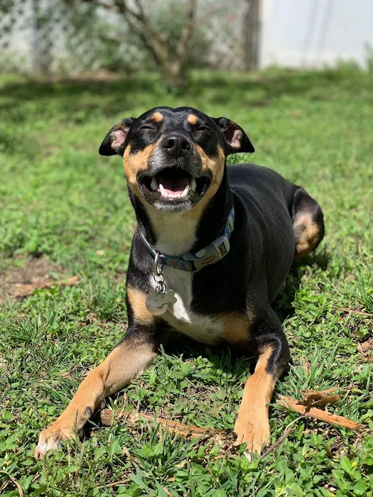 Vetco Total Care Animal Hospital 9