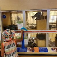 Banfield Pet Hospital ico