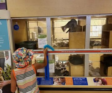 Banfield Pet Hospital