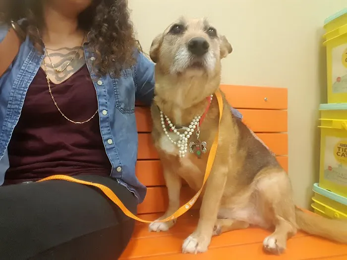 Banfield Pet Hospital 2