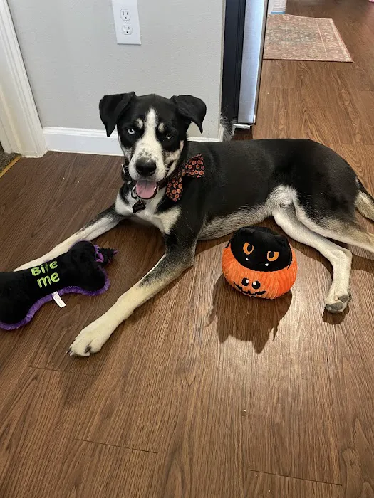 Banfield Pet Hospital 8