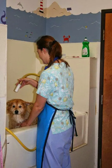 VCA Tanglewood Animal Hospital 7