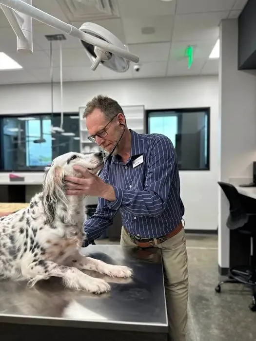 Liberty Hill Animal Hospital 1