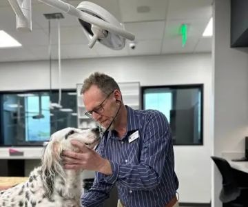 Liberty Hill Animal Hospital