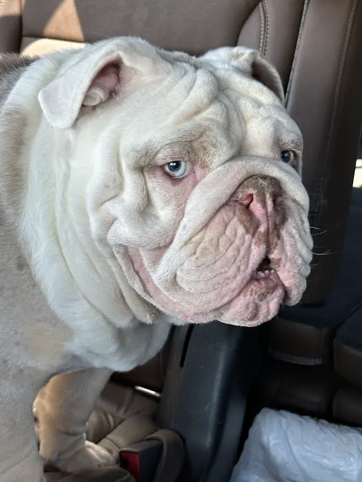 Liberty Hill Animal Hospital 2