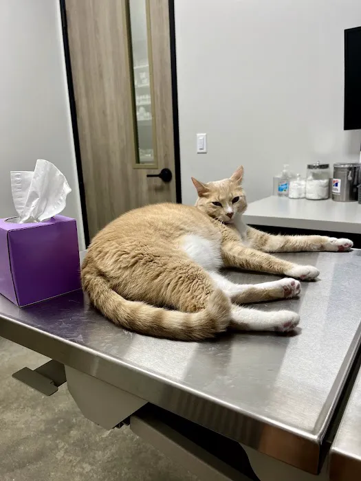 Liberty Hill Animal Hospital 5