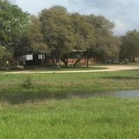 Live Oak Horse Veterinary Clinic PC ico