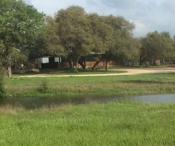 Live Oak Horse Veterinary Clinic PC