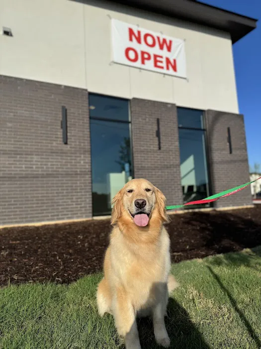 Pointe 183 Animal Hospital & Urgent Care 3