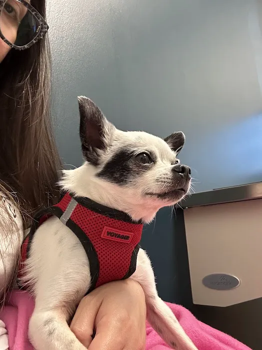 Pointe 183 Animal Hospital & Urgent Care 4