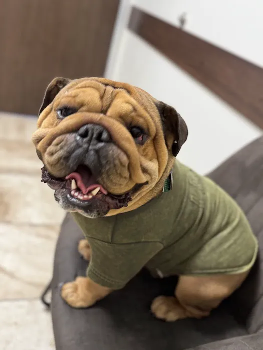 Mercy Veterinary Hospital 12