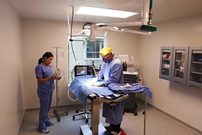 Mercy Veterinary Hospital 12