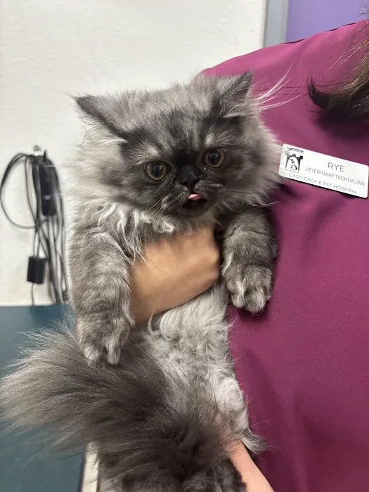 Castlerock Pet Hospital 2