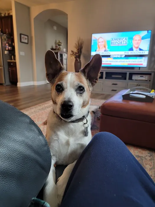 Castlerock Pet Hospital 8