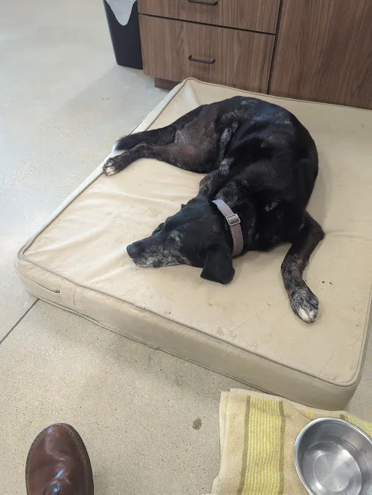 Patriot Animal Hospital 12