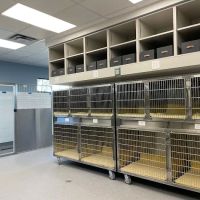 Emergency Animal Hospital of Crystal Falls ico