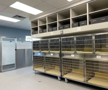 Emergency Animal Hospital of Crystal Falls