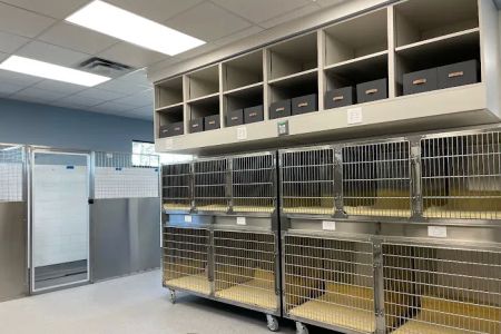 Emergency Animal Hospital of Crystal Falls