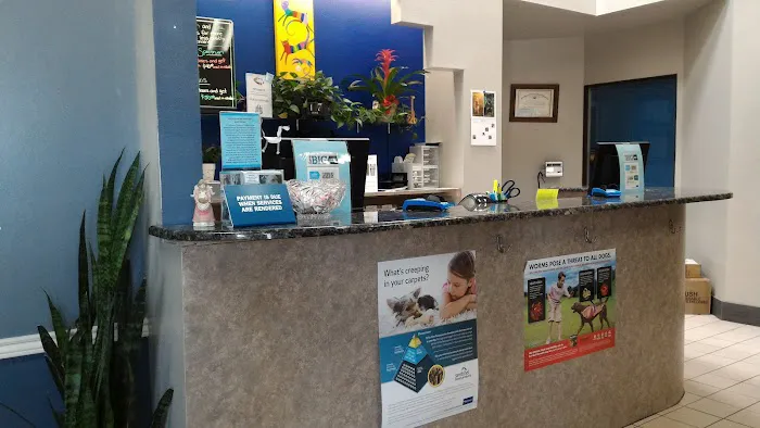 Buttercup Veterinary Hospital 9