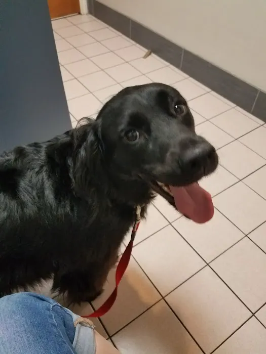 Buttercup Veterinary Hospital 1